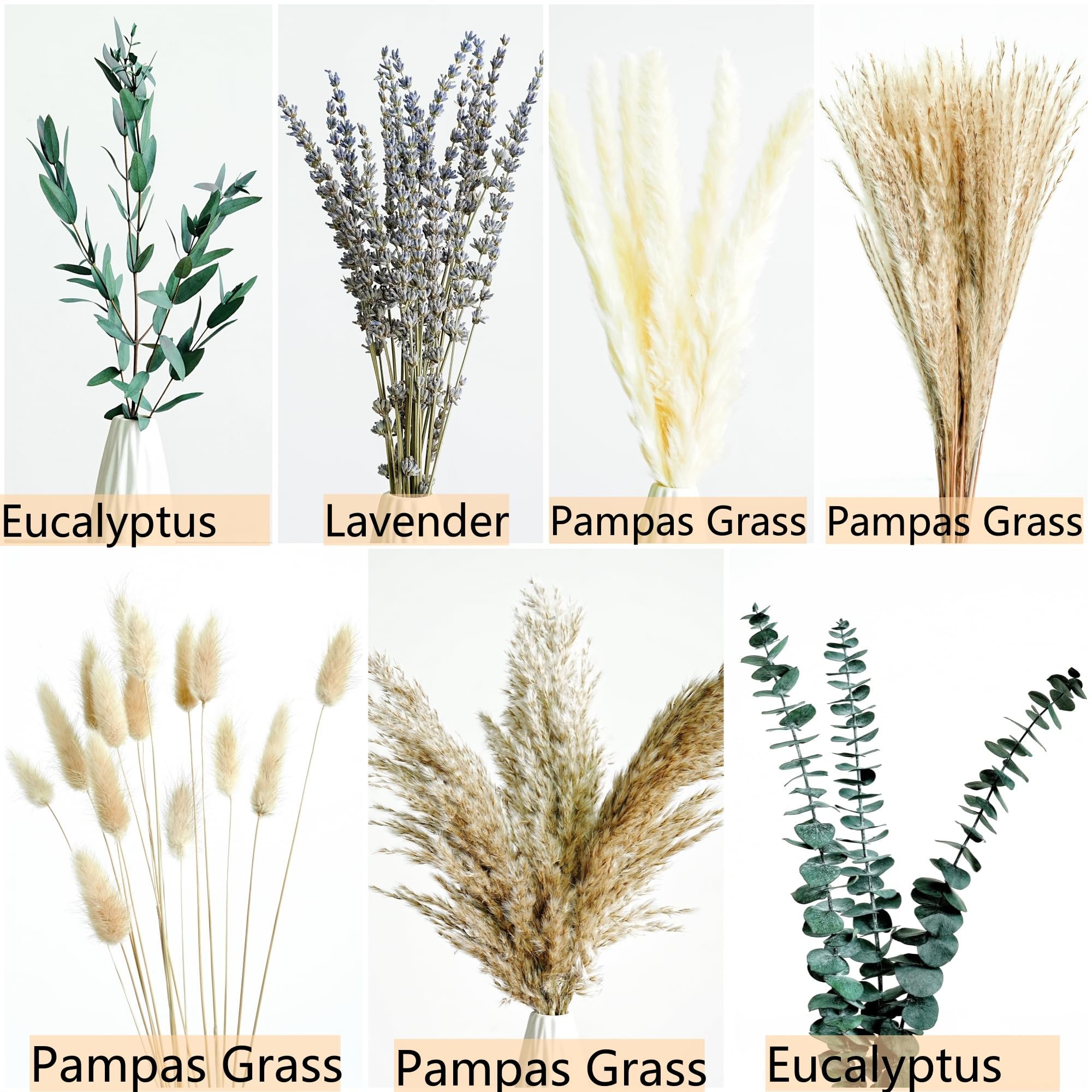 Fall Dried Flower Bouquet with Pampas Grass, Orange Bunny Tails, Lavender & Red Eucalyptus –Boho Fall Decor for Home, Vase, Porch & thanksgiving –Autumn Floral Arrangements for Fall Decorations Indoor