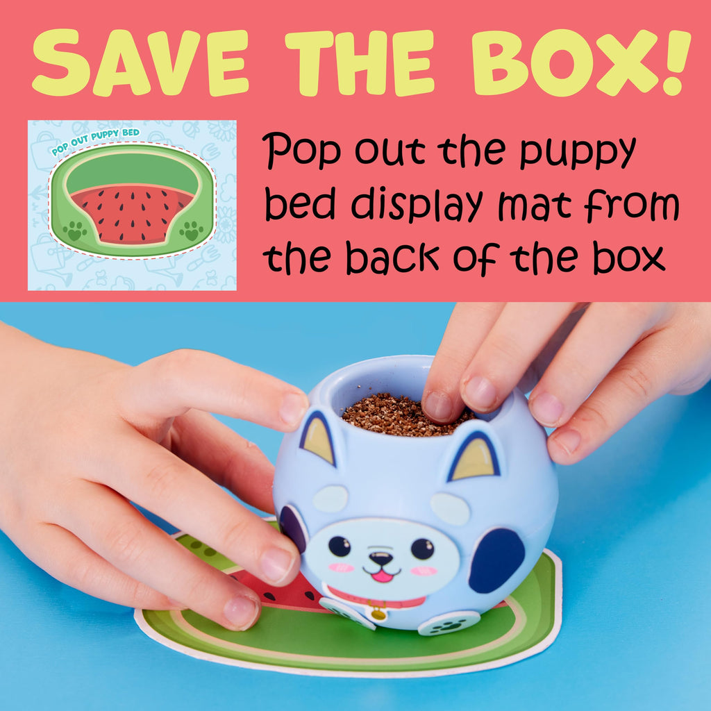 Creativity for Kids Plant-A-Pet: Kitty - Arts and Crafts for Kids, Mini Gifts for Girls and Screen Free Summer Fun for Kids, Chia Seed Plant Pet (Ages 6+)