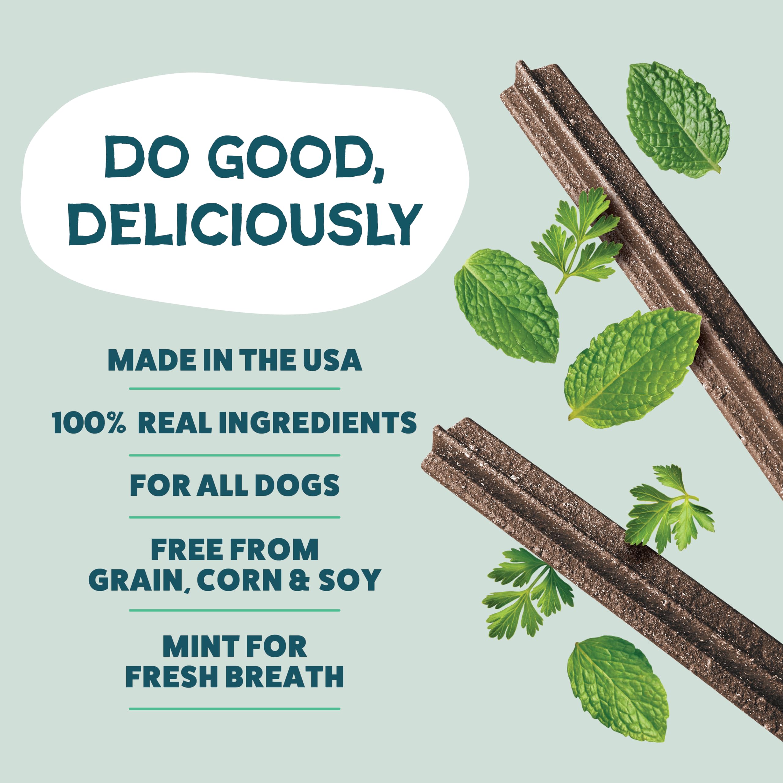 Shameless Pets Blueberry & Mint Dental Chews for Dogs, 8 Chews - Natural Dog Teeth Cleaning Treats with Fresh Breath Benefits | Grain-Free Dental Sticks for Small, Medium & Large Dogs