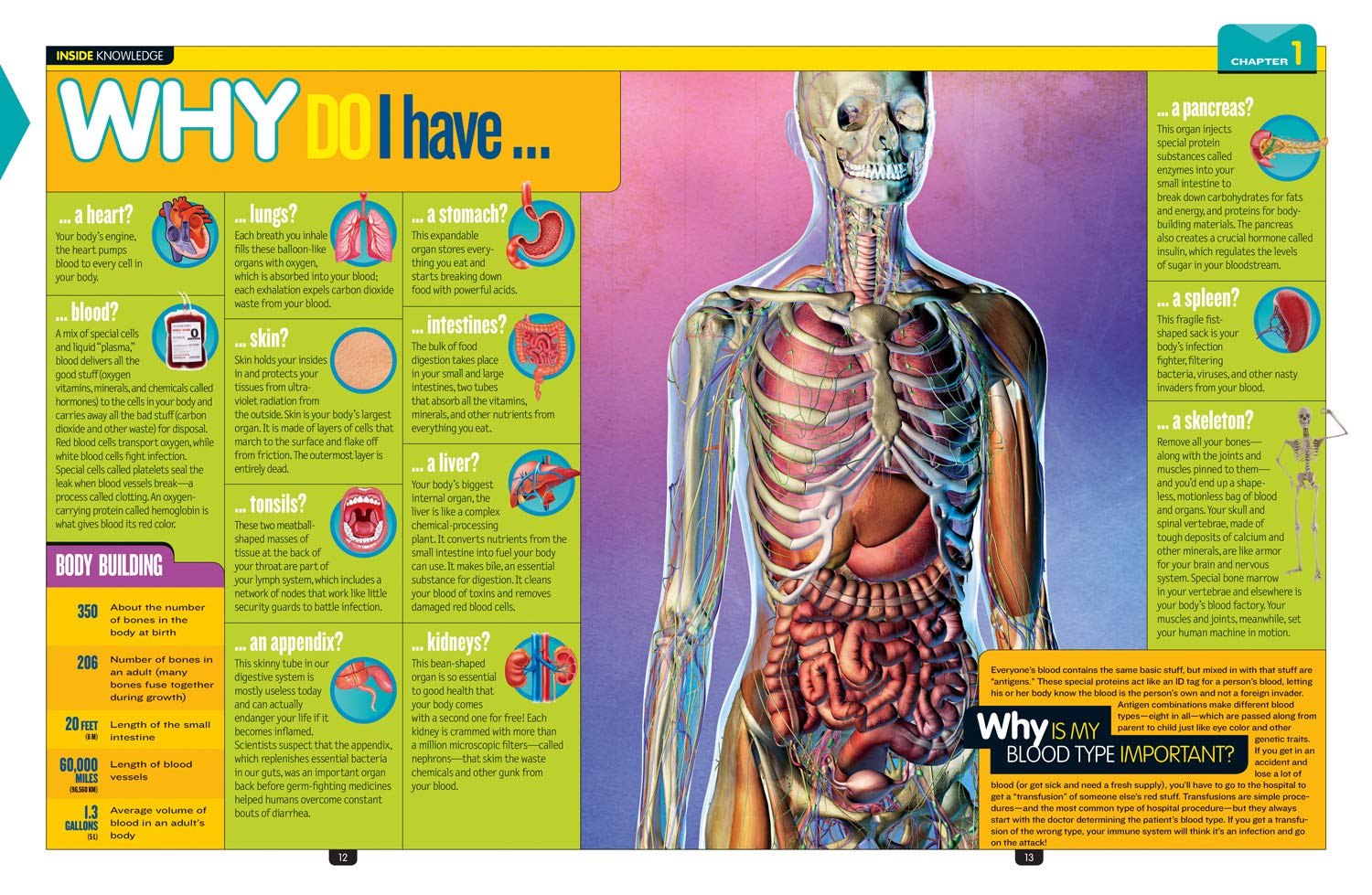 National Geographic Kids Why?: Over 1,111 Answers to Everything (NGK Why?)