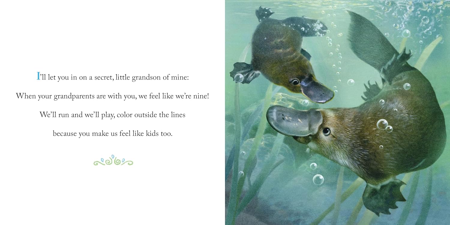 Why We Need Grandsons: Celebrate Your Special Grandson Grandparent Bond with This Heartwarming Picture Book! (Always in My Heart)