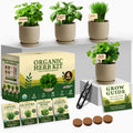 HOME GROWN Herb Garden Planter Indoor Kit – Unique Christmas Gift for Adults, Men, & Women - Grow 4 Heirloom Herb Seeds on Kitchen Window – Beginner DIY Craft & Hobby Gardening Gift for Plant Lovers