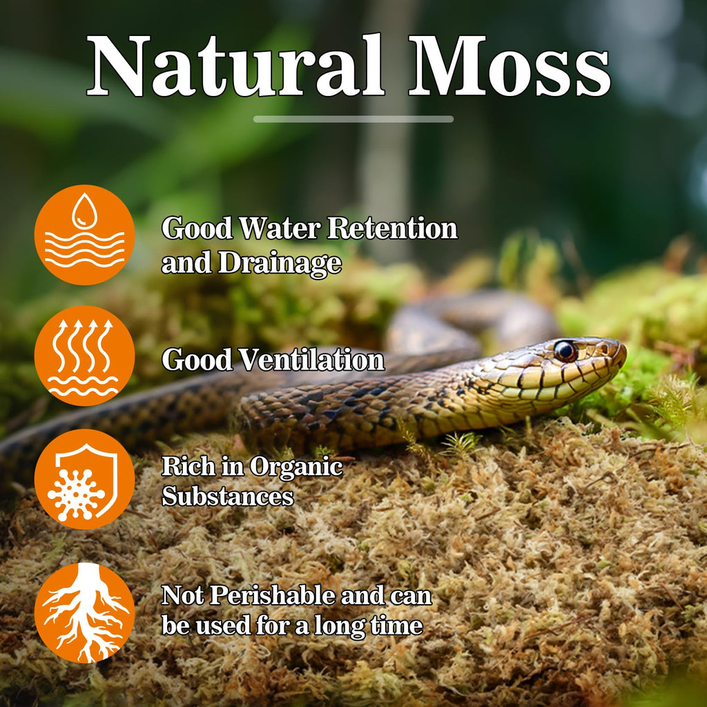 Sukh Sphagnum Moss for Reptiles - Terrarium Reptiles Moss Green Dried Peat Moss Habitat Bedding Moss for Snakes Turtle Frog Gecko and Other Reptiles Substrate (5, Ounces)