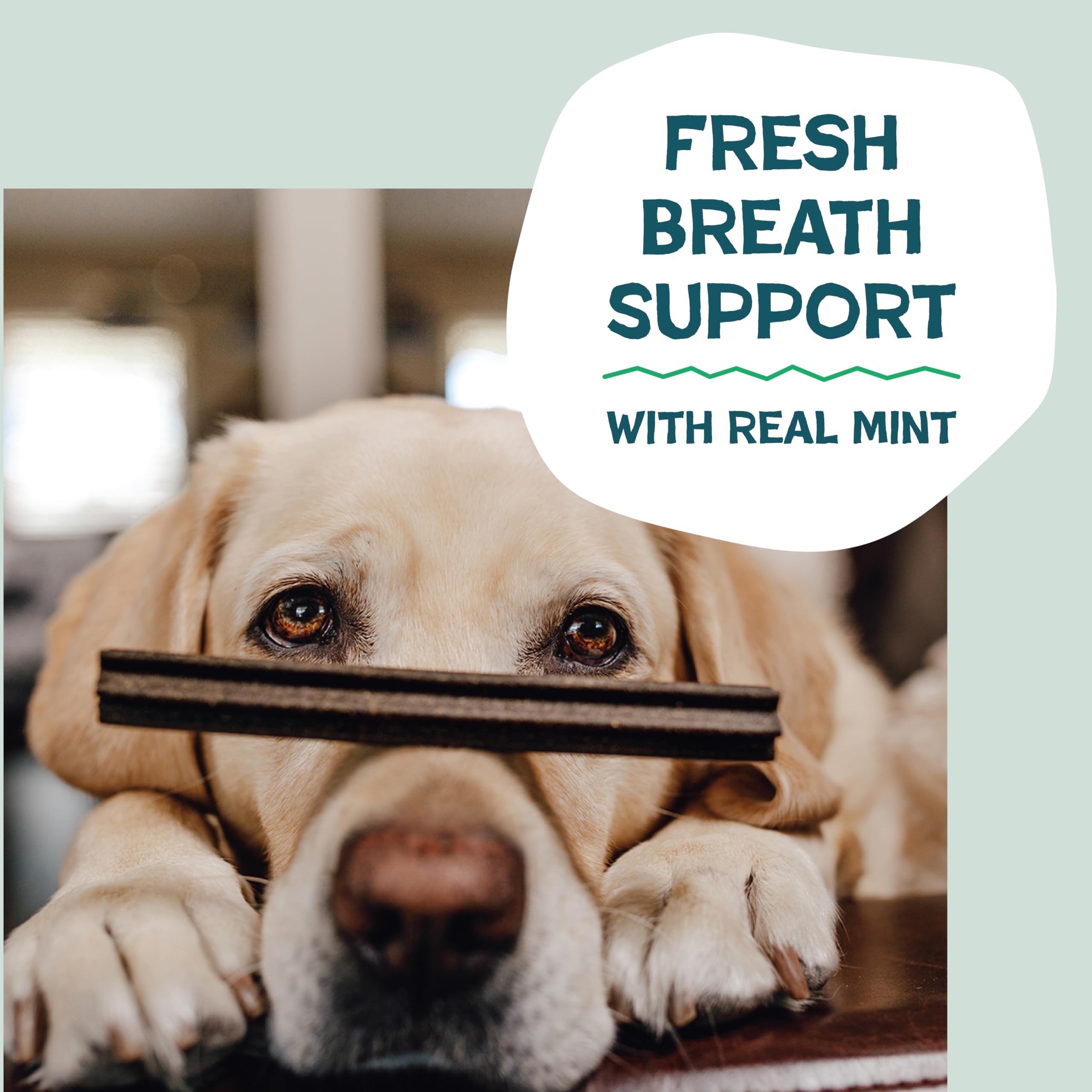 Shameless Pets Blueberry & Mint Dental Chews for Dogs, 8 Chews - Natural Dog Teeth Cleaning Treats with Fresh Breath Benefits | Grain-Free Dental Sticks for Small, Medium & Large Dogs