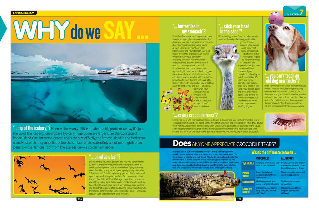 National Geographic Kids Why?: Over 1,111 Answers to Everything (NGK Why?)