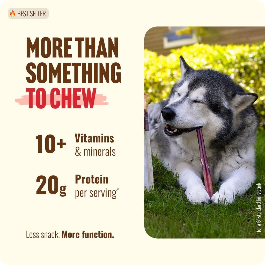 Natural Farm Bully Sticks (6 Inch, 15 Count), Single Ingredient: 100% Beef Chews, Grass-Fed, Non-GMO, Grain-Free, Fully Digestible Treats for Puppies, Small or Senior Dog
