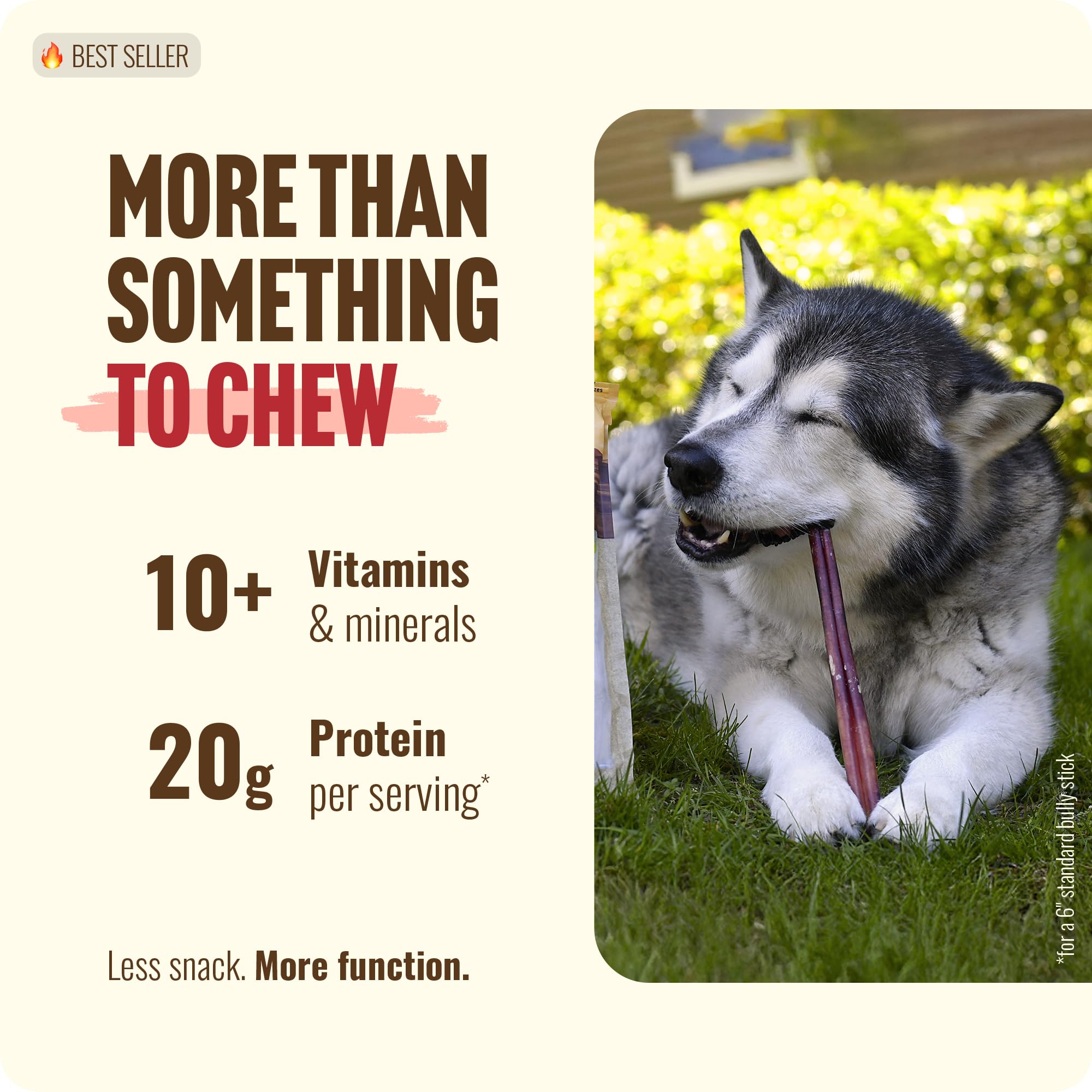 Natural Farm Bully Sticks (6 Inch, 15 Count), Single Ingredient: 100% Beef Chews, Grass-Fed, Non-GMO, Grain-Free, Fully Digestible Treats for Puppies, Small or Senior Dog