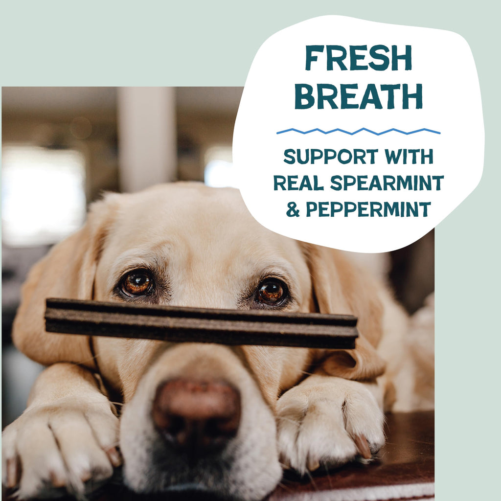 Shameless Pets Blueberry & Mint Dental Chews for Dogs, 8 Chews - Natural Dog Teeth Cleaning Treats with Fresh Breath Benefits | Grain-Free Dental Sticks for Small, Medium & Large Dogs