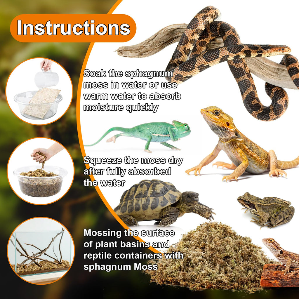 Sukh Sphagnum Moss for Reptiles - Terrarium Reptiles Moss Green Dried Peat Moss Habitat Bedding Moss for Snakes Turtle Frog Gecko and Other Reptiles Substrate (5, Ounces)