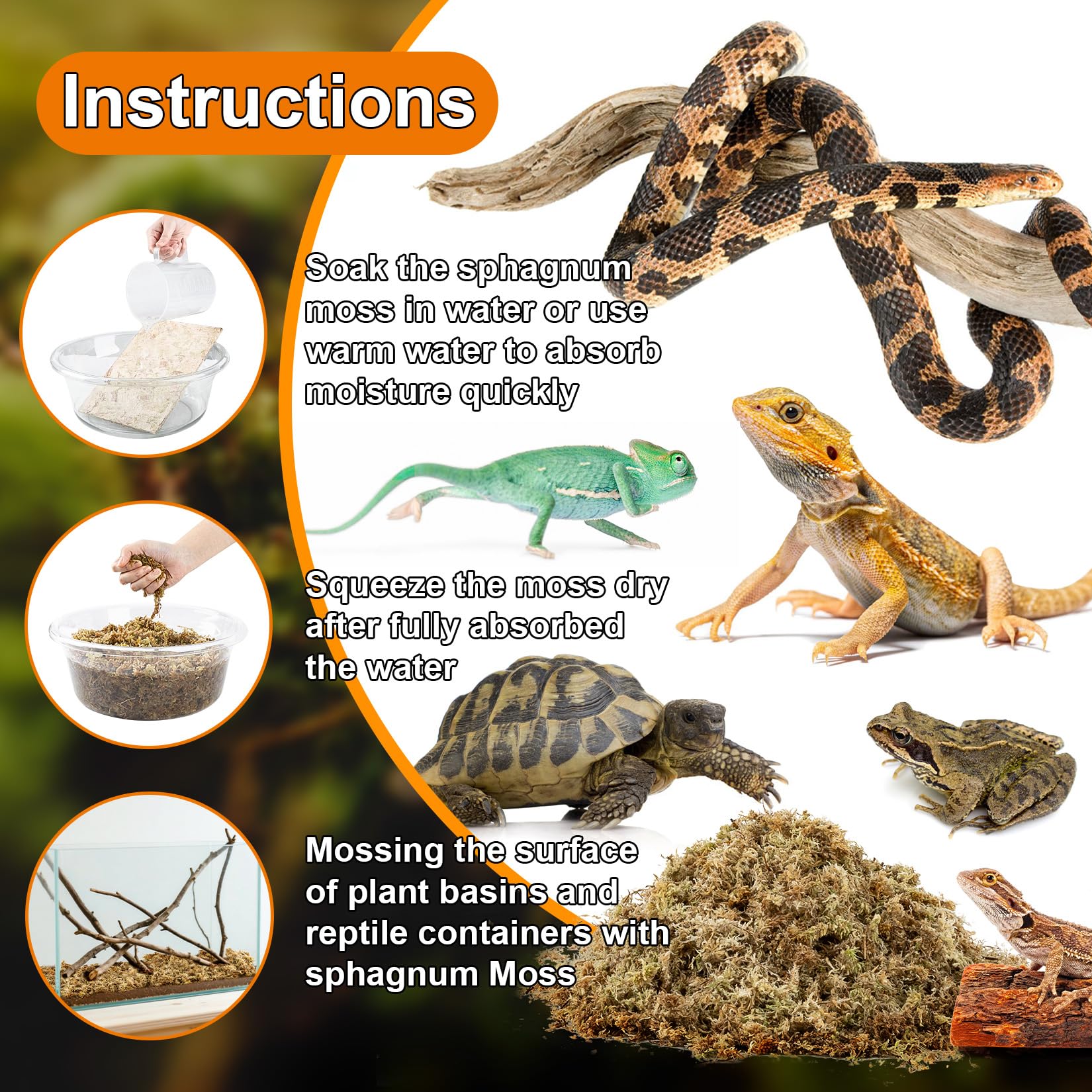 Sukh Sphagnum Moss for Reptiles - Terrarium Reptiles Moss Green Dried Peat Moss Habitat Bedding Moss for Snakes Turtle Frog Gecko and Other Reptiles Substrate (5, Ounces)