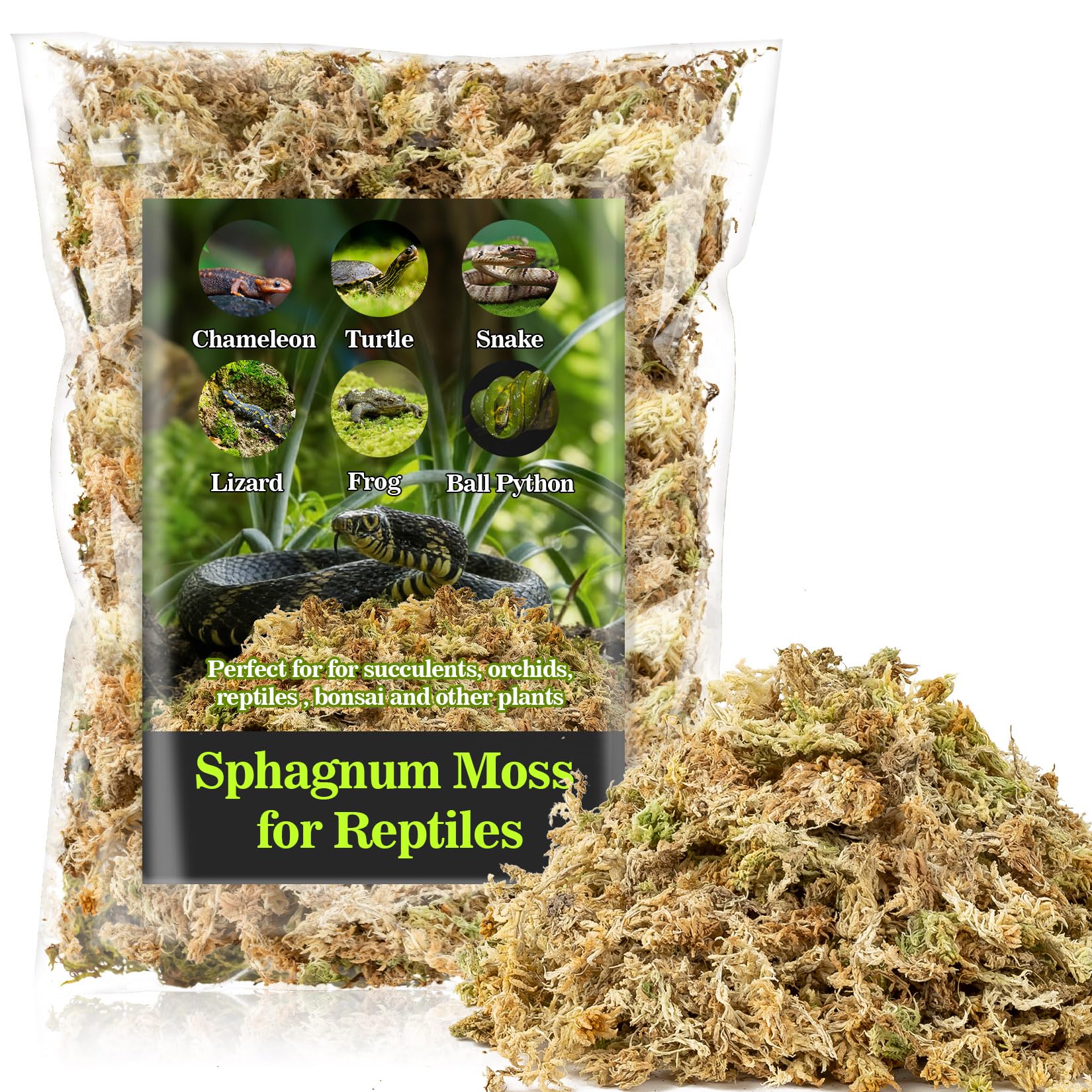 Sukh Sphagnum Moss for Reptiles - Terrarium Reptiles Moss Green Dried Peat Moss Habitat Bedding Moss for Snakes Turtle Frog Gecko and Other Reptiles Substrate (5, Ounces)