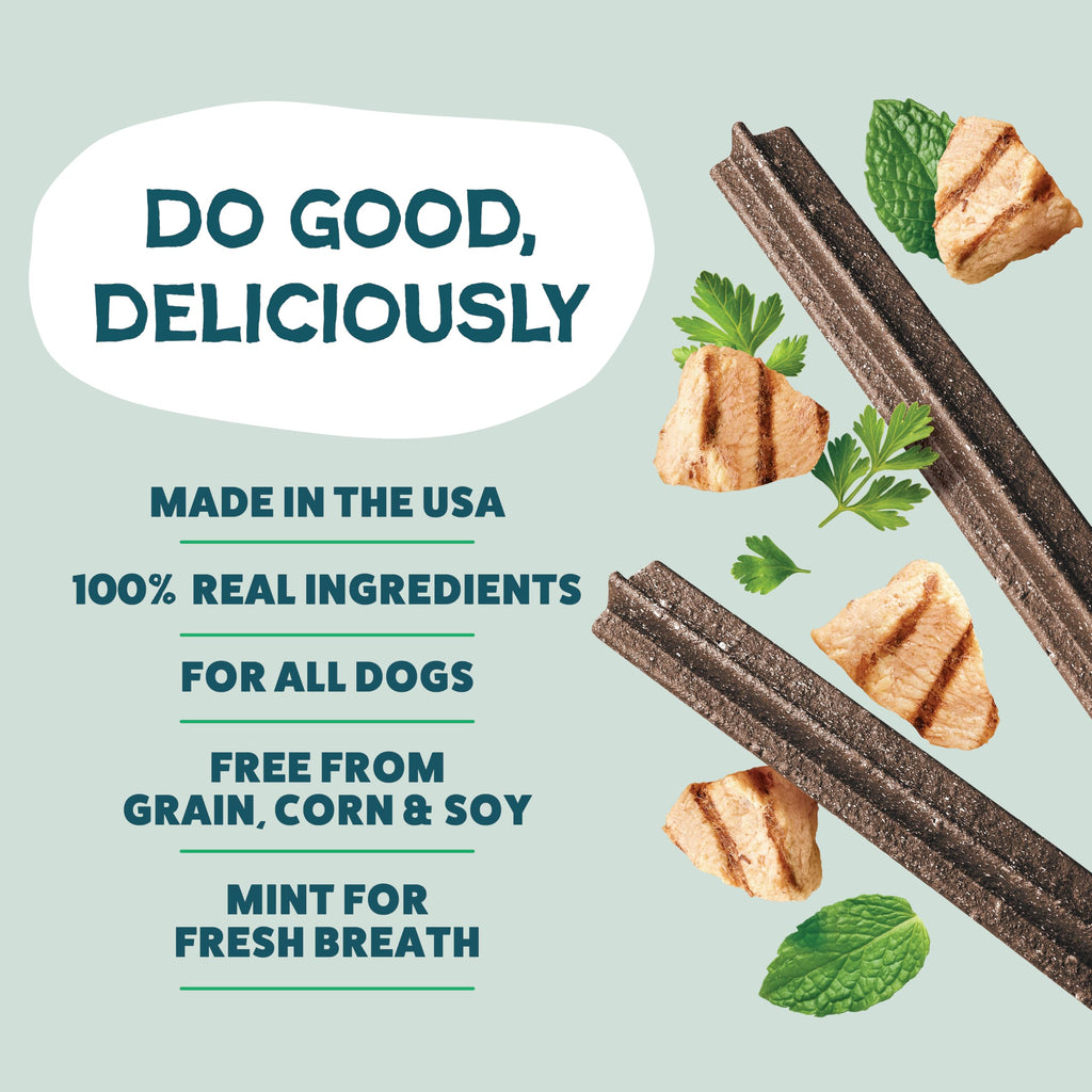 Shameless Pets Blueberry & Mint Dental Chews for Dogs, 8 Chews - Natural Dog Teeth Cleaning Treats with Fresh Breath Benefits | Grain-Free Dental Sticks for Small, Medium & Large Dogs