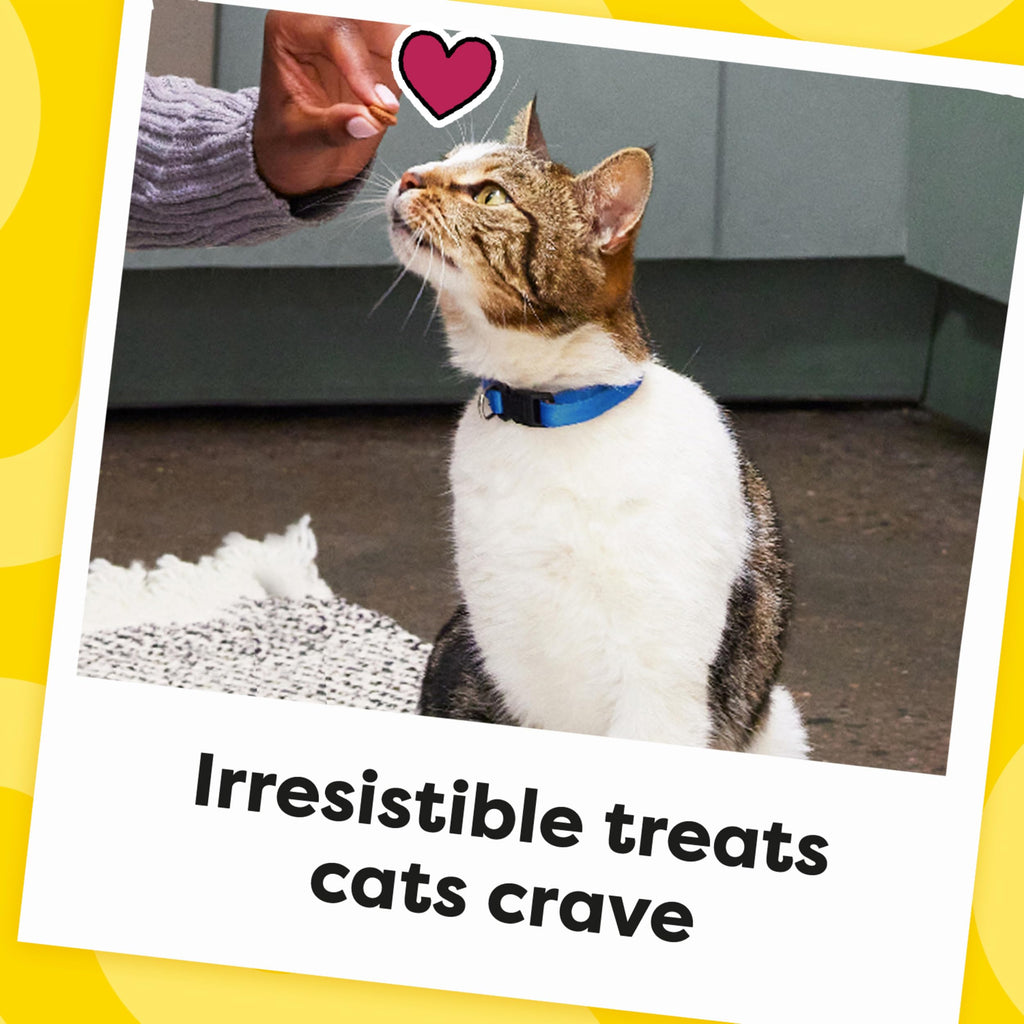 Temptations Cat Treats Classic Crunchy and Soft Cat Treats, Tasty Chicken Flavor, 30 oz. Tub