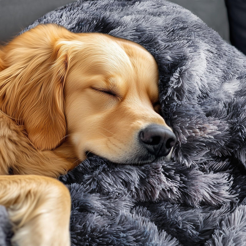 Luciphia Large Waterproof Dog Blanket for Pet Washable Liquid Proof Bed Intimacy Protection Shaggy Plush Calming Long Faux Fur Couch Cover Calming Cat Throw Blankets, Tie-dye Grey, 50" x 60"