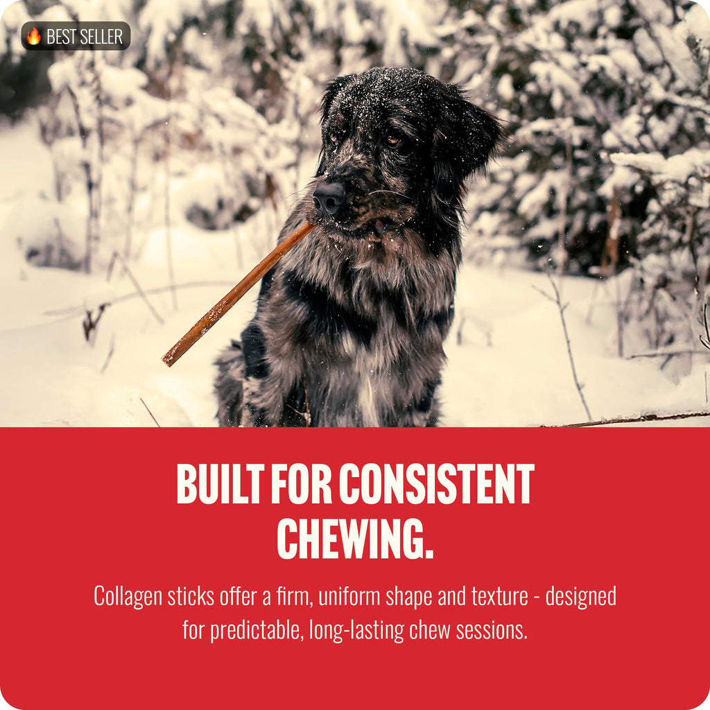 Natural Farm Bully Sticks (6 Inch, 15 Count), Single Ingredient: 100% Beef Chews, Grass-Fed, Non-GMO, Grain-Free, Fully Digestible Treats for Puppies, Small or Senior Dog