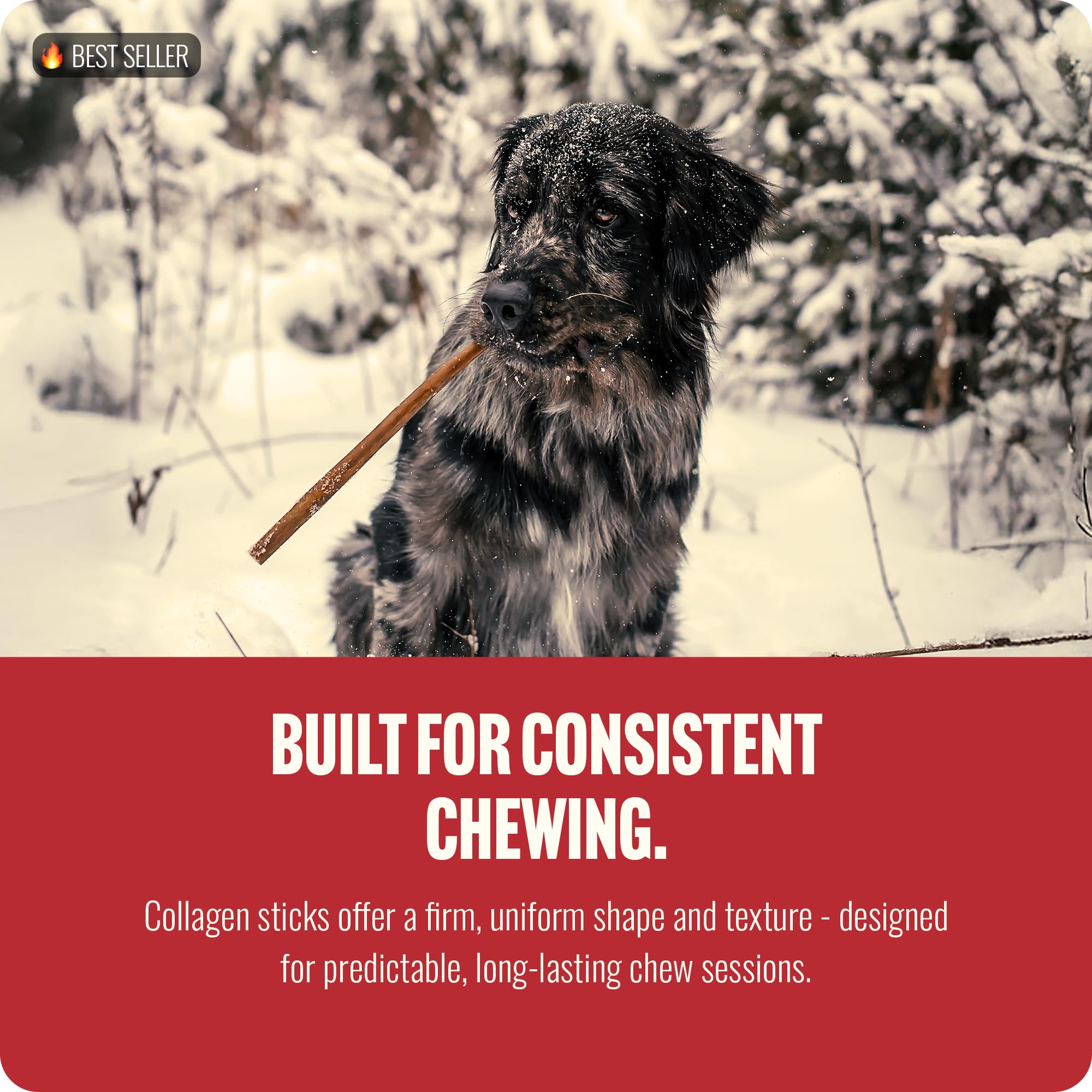 Natural Farm Bully Sticks (6 Inch, 15 Count), Single Ingredient: 100% Beef Chews, Grass-Fed, Non-GMO, Grain-Free, Fully Digestible Treats for Puppies, Small or Senior Dog