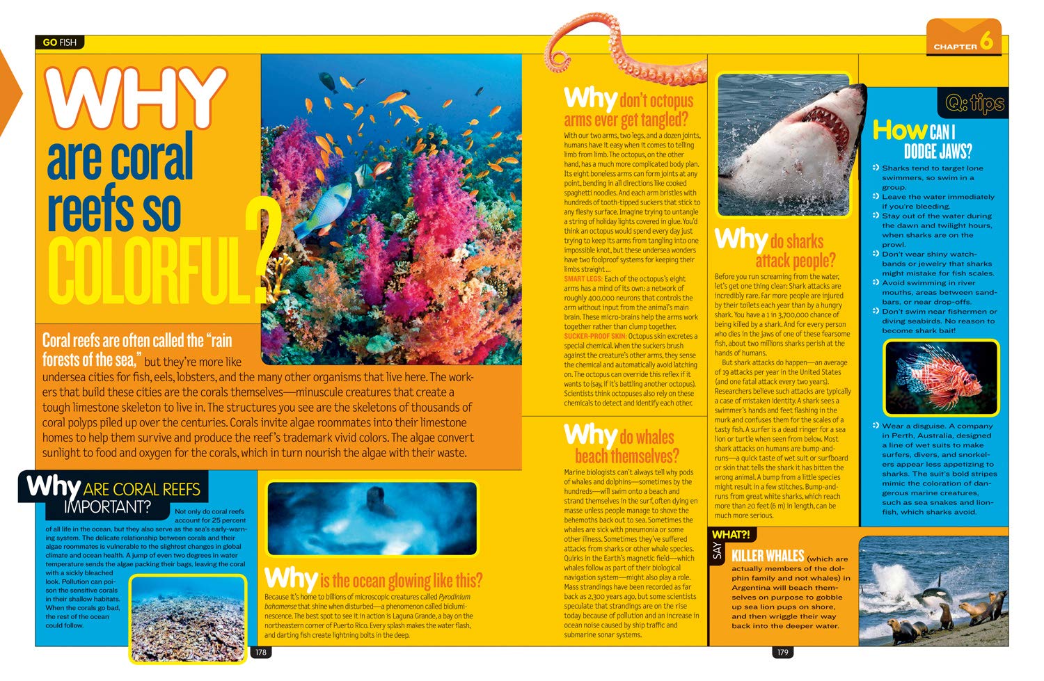 National Geographic Kids Why?: Over 1,111 Answers to Everything (NGK Why?)
