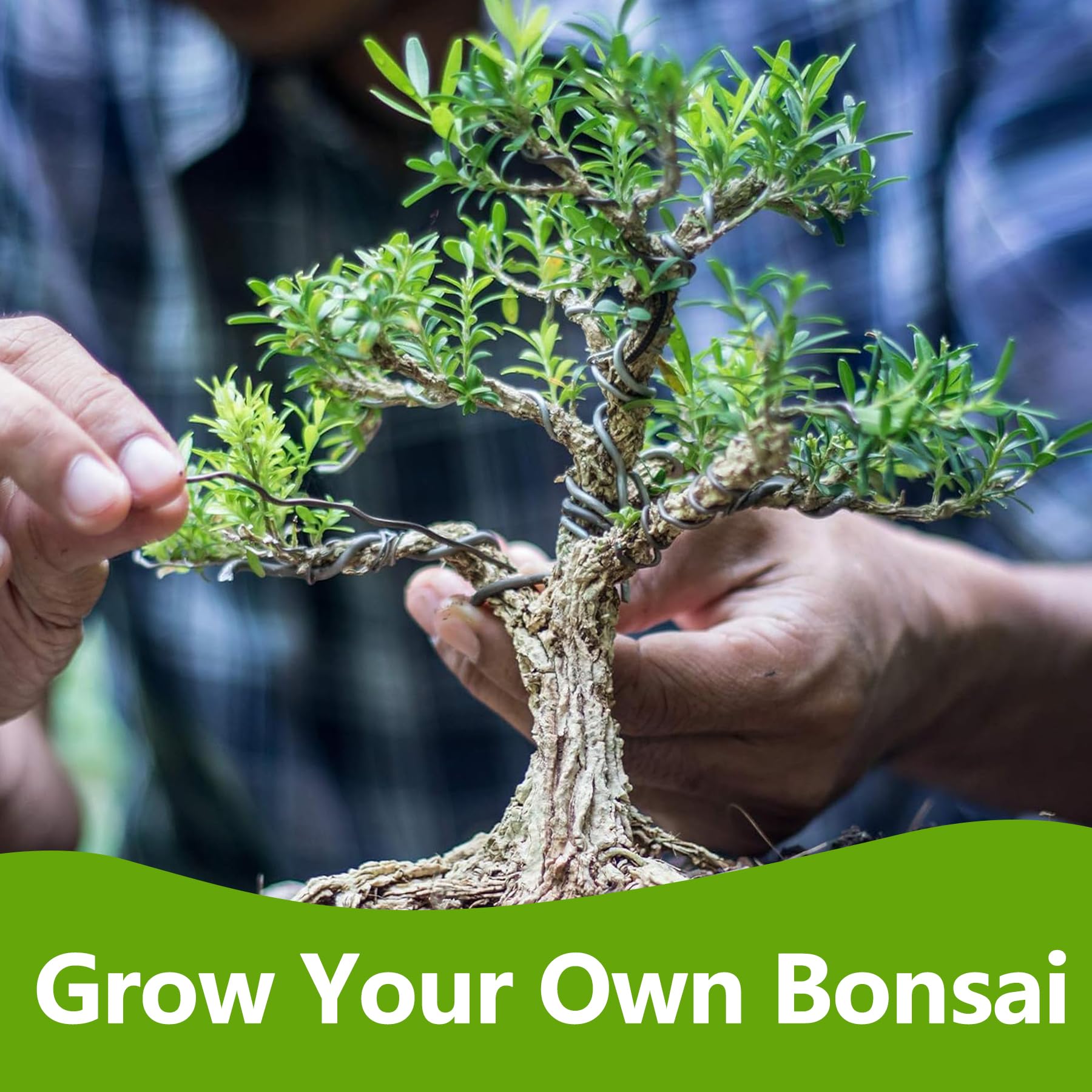 Bonsai Tree Kit, Bonsai Starter Kit with Seeds & Tools, Tree Live Plants Indoor, Gardening Gifts for Women Men Mom Father Plant Lover, Birthday Gifts for Women, Father Day Gifts