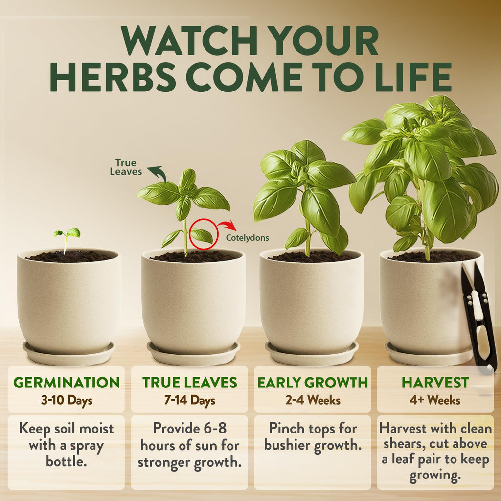HOME GROWN Herb Garden Planter Indoor Kit – Unique Christmas Gift for Adults, Men, & Women - Grow 4 Heirloom Herb Seeds on Kitchen Window – Beginner DIY Craft & Hobby Gardening Gift for Plant Lovers