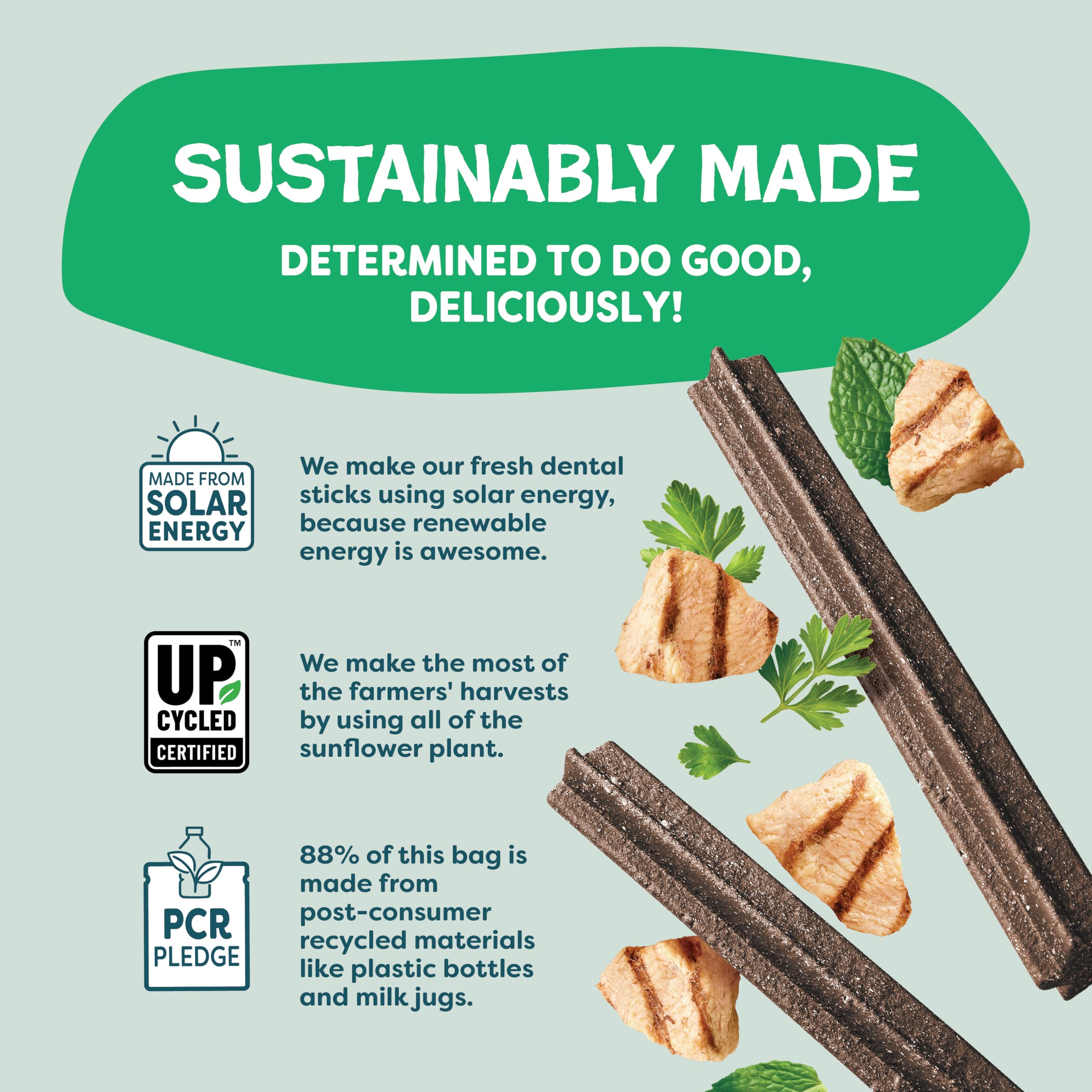 Shameless Pets Blueberry & Mint Dental Chews for Dogs, 8 Chews - Natural Dog Teeth Cleaning Treats with Fresh Breath Benefits | Grain-Free Dental Sticks for Small, Medium & Large Dogs