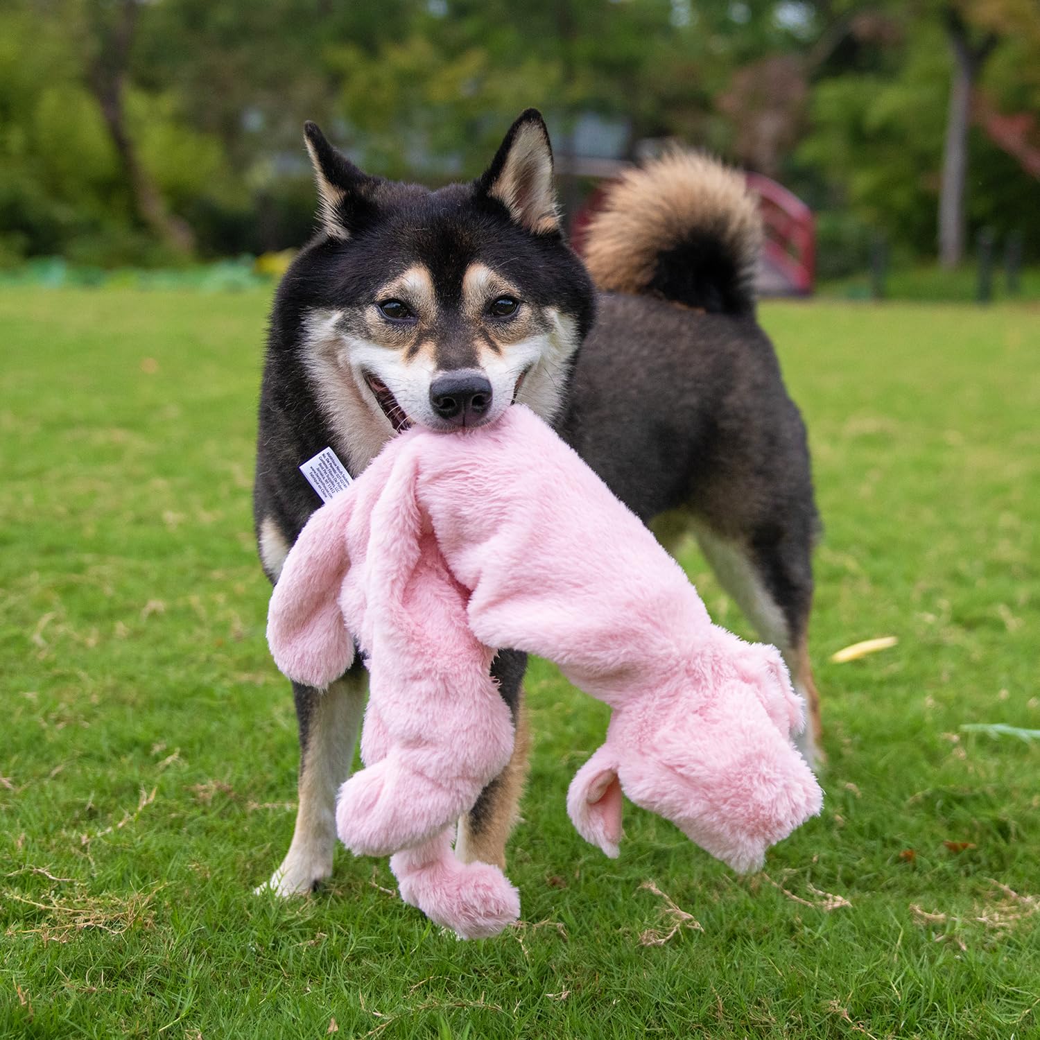 Best Pet Supplies Squeaky Dog Toys with Soft Durable Fabric for Small, Medium and Large Pets Interactive Toy for Indoor Play, Supports Active Biting and Play - 4 Figures, Small