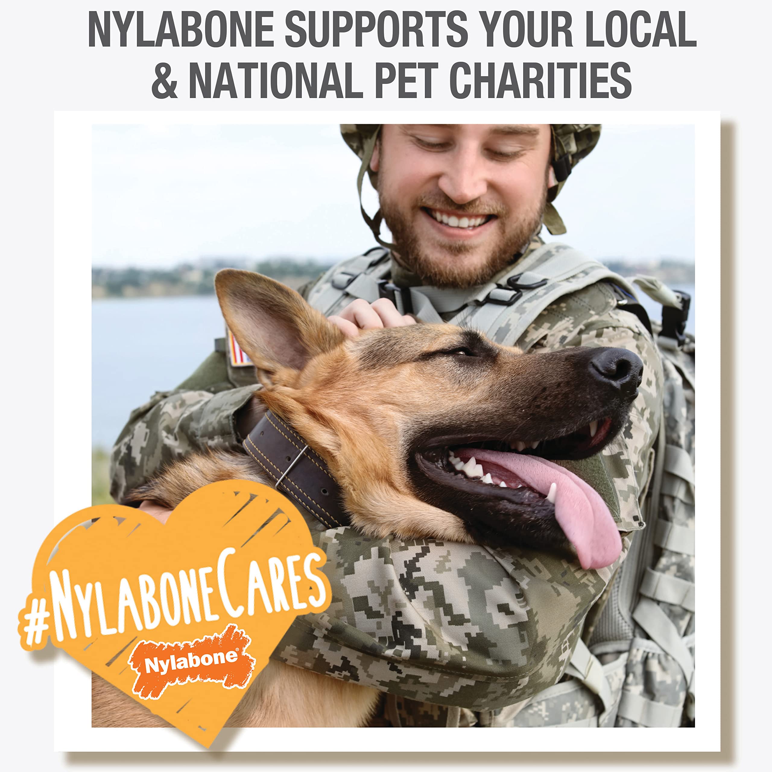 Nylabone Healthy Edibles Natural Puppy Chews Long Lasting Treats for Puppies, Roast Beef/Apple/Bacon Dog Treats, X-Small/Petite (3 Count)