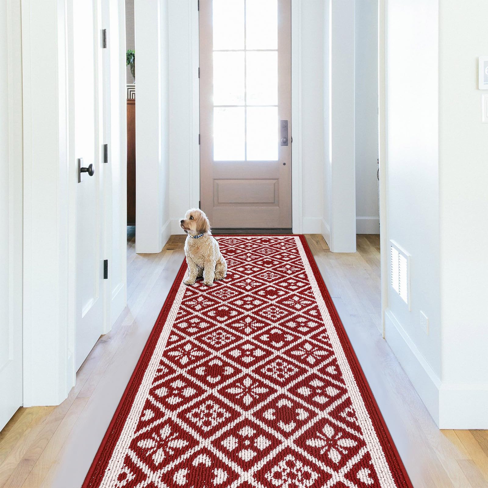 Ileading Christmas Entrance Door Mat, Absorbent Dog Mats for Muddy Paws, Low-Profile Small Red Xmas Decor Kitchen Runner Rug with Non-Slip Backing, Machine Washable Entryway Welcome Mat(Red 24"X36")