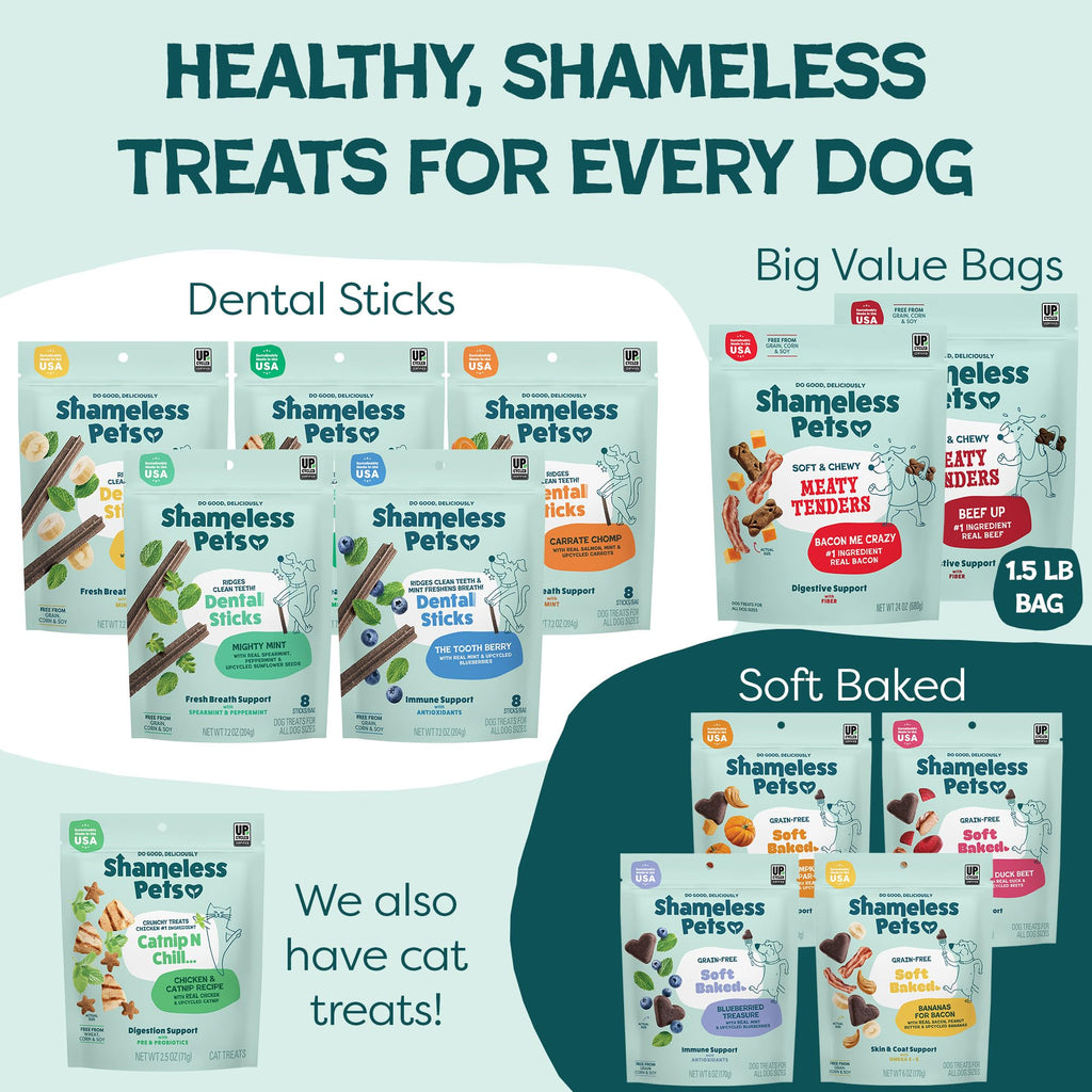 Shameless Pets Soft Dog Treats – Bacon Me Crazy Meaty Tenders, Soft & Chewy Treats for Dogs, Real Bacon 1st Ingredient, Grain Free, Healthy Treats for Small, Medium & Large Dogs, 8oz