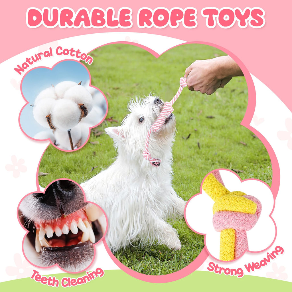 Zeaxuie 25 Pack Luxury Dog Chew Toys for Puppy, Dog Toys with Ropes, Treat Ball and Squeaky Puppy Toys for Teething Small Dogs