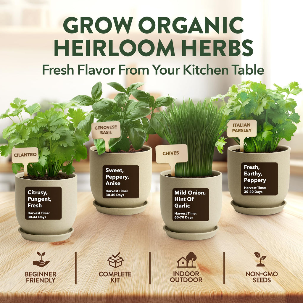 HOME GROWN Herb Garden Planter Indoor Kit – Unique Christmas Gift for Adults, Men, & Women - Grow 4 Heirloom Herb Seeds on Kitchen Window – Beginner DIY Craft & Hobby Gardening Gift for Plant Lovers
