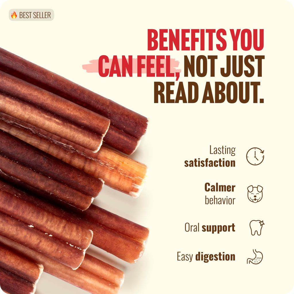 Natural Farm Bully Sticks (6 Inch, 15 Count), Single Ingredient: 100% Beef Chews, Grass-Fed, Non-GMO, Grain-Free, Fully Digestible Treats for Puppies, Small or Senior Dog