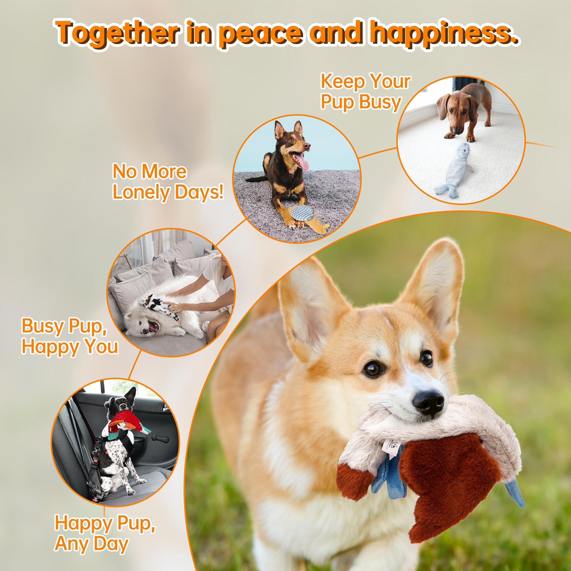 Nocciola Dog Squeaky Toys, 5 PCS Crinkle Plush Dog Toys, No Stuffing Dog Toys for Small Medium Large Dogs, Stuffless Puppy Toys for Boredom