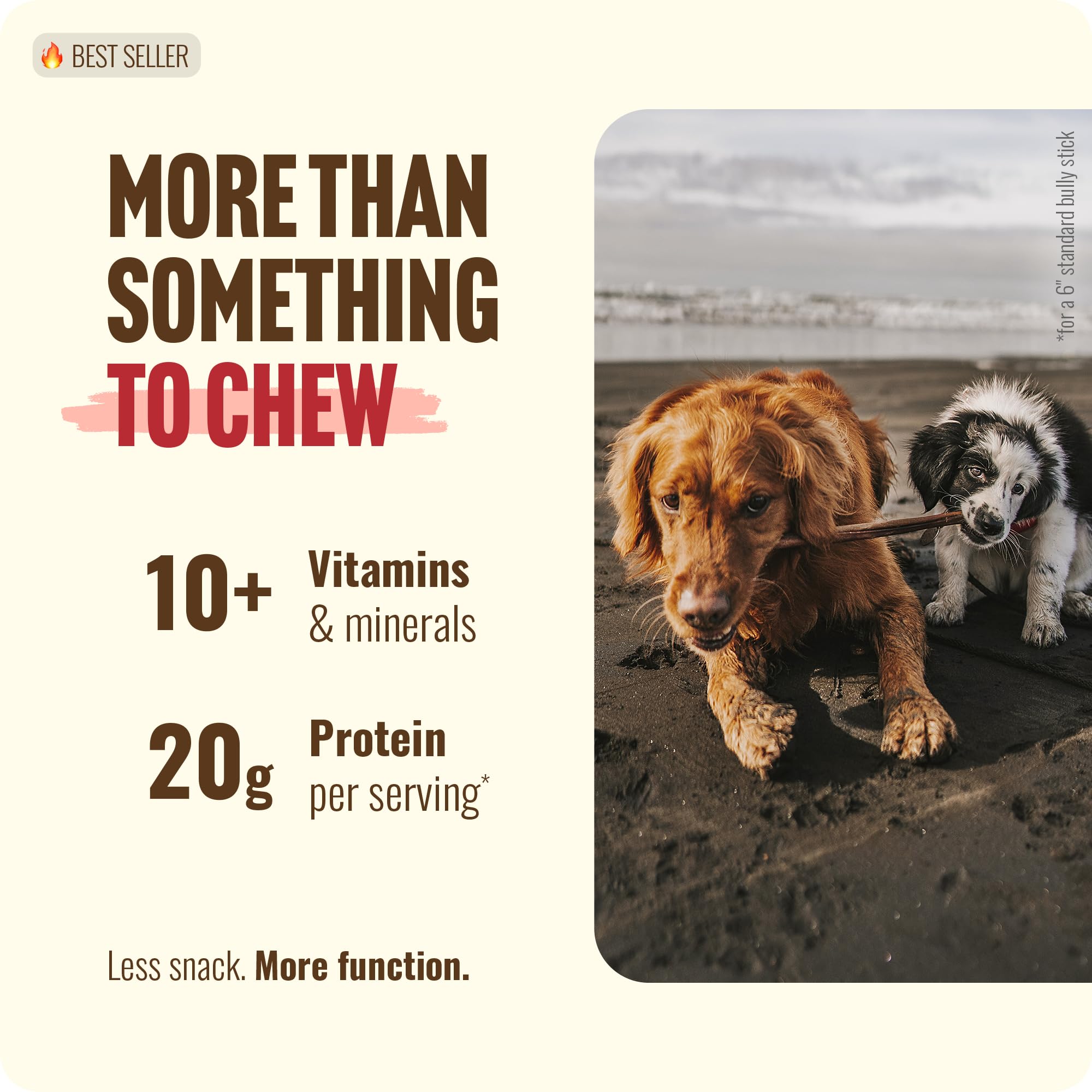 Natural Farm Bully Sticks (6 Inch, 15 Count), Single Ingredient: 100% Beef Chews, Grass-Fed, Non-GMO, Grain-Free, Fully Digestible Treats for Puppies, Small or Senior Dog