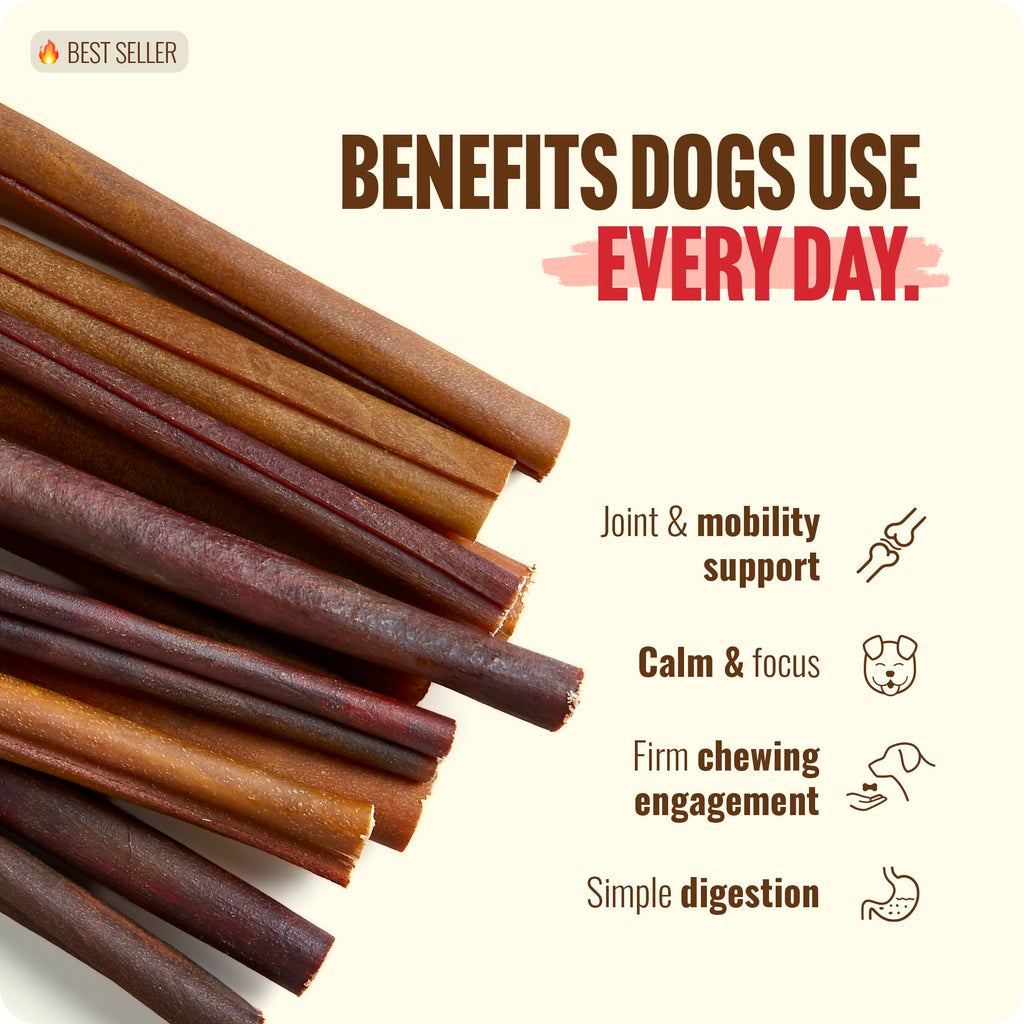 Natural Farm Bully Sticks (6 Inch, 15 Count), Single Ingredient: 100% Beef Chews, Grass-Fed, Non-GMO, Grain-Free, Fully Digestible Treats for Puppies, Small or Senior Dog