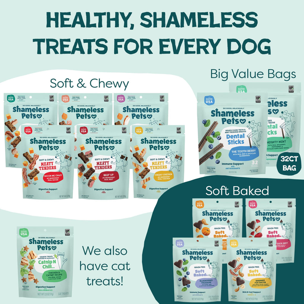 Shameless Pets Blueberry & Mint Dental Chews for Dogs, 8 Chews - Natural Dog Teeth Cleaning Treats with Fresh Breath Benefits | Grain-Free Dental Sticks for Small, Medium & Large Dogs