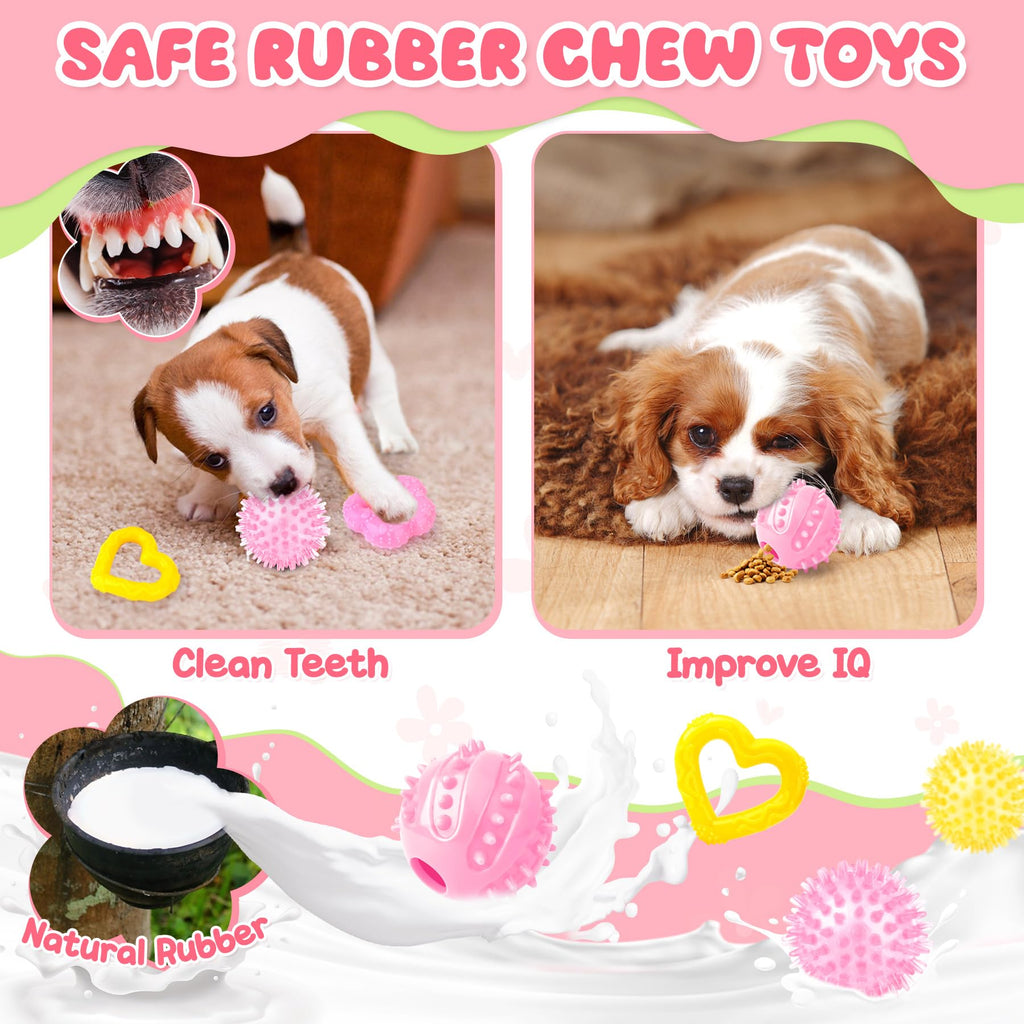 Zeaxuie 25 Pack Luxury Dog Chew Toys for Puppy, Dog Toys with Ropes, Treat Ball and Squeaky Puppy Toys for Teething Small Dogs