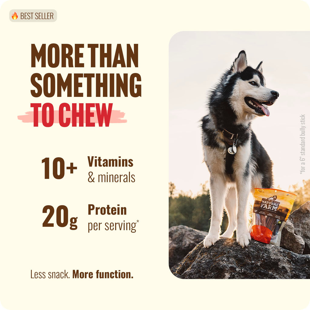 Natural Farm Bully Sticks (6 Inch, 15 Count), Single Ingredient: 100% Beef Chews, Grass-Fed, Non-GMO, Grain-Free, Fully Digestible Treats for Puppies, Small or Senior Dog