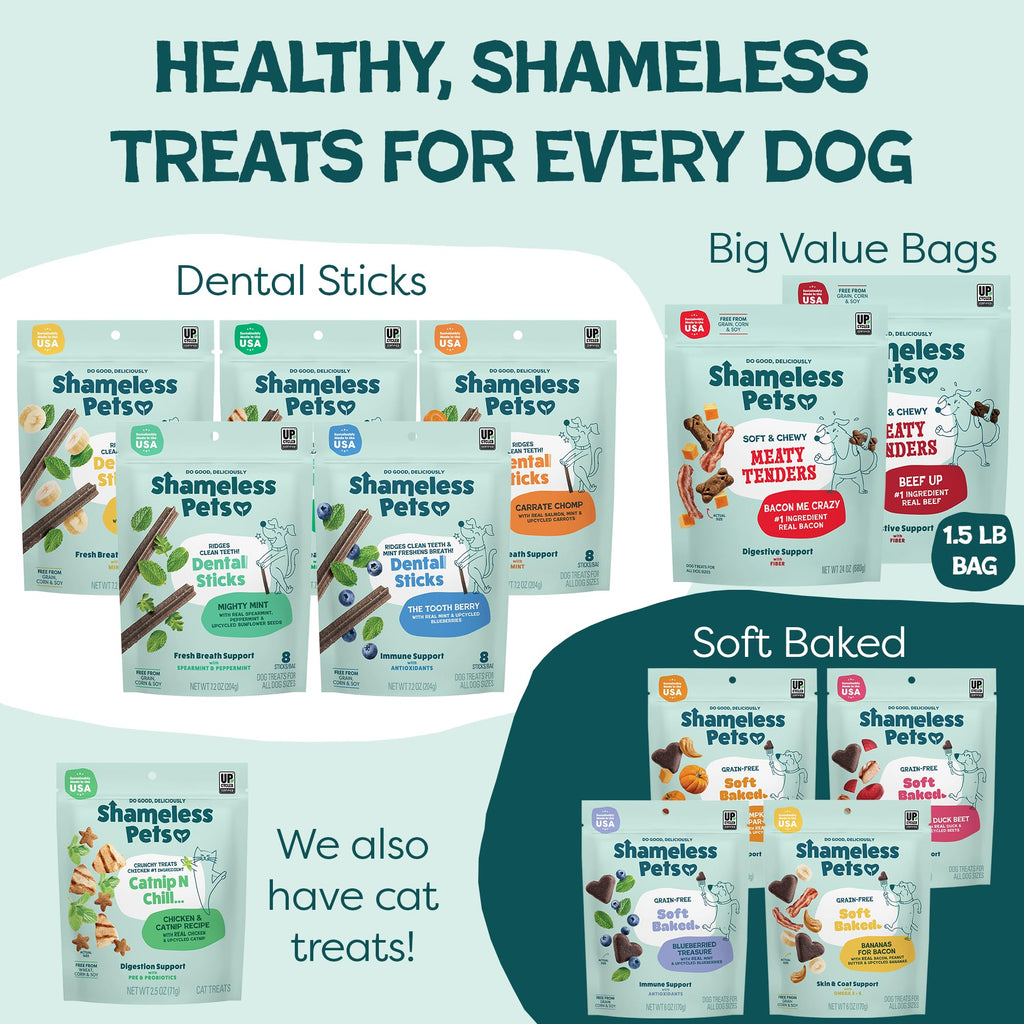 Shameless Pets Soft Dog Treats – Bacon Me Crazy Meaty Tenders, Soft & Chewy Treats for Dogs, Real Bacon 1st Ingredient, Grain Free, Healthy Treats for Small, Medium & Large Dogs, 8oz