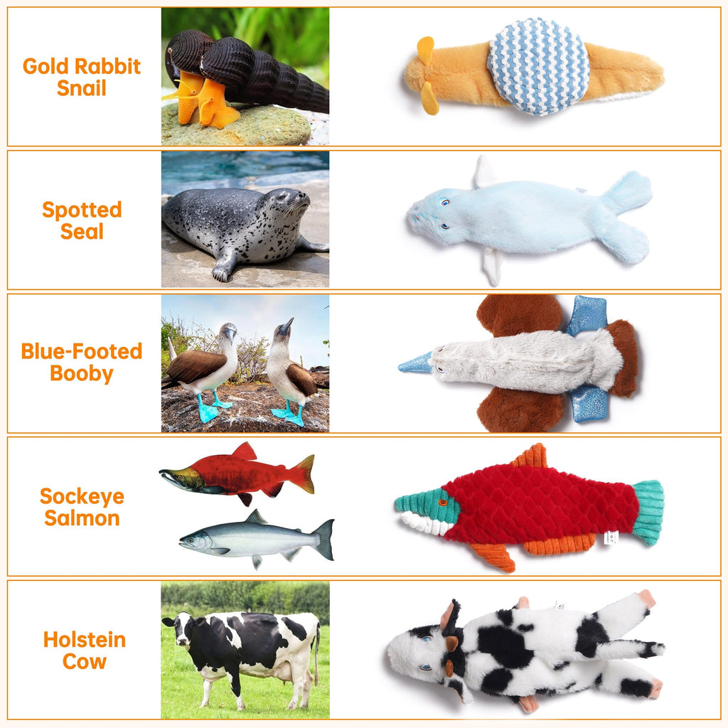 Nocciola Dog Squeaky Toys, 5 PCS Crinkle Plush Dog Toys, No Stuffing Dog Toys for Small Medium Large Dogs, Stuffless Puppy Toys for Boredom
