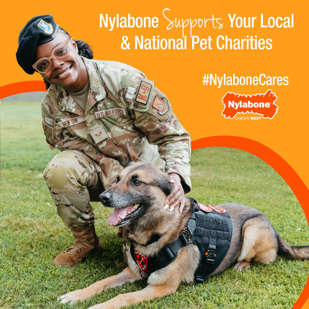 Nylabone Healthy Edibles Natural Puppy Chews Long Lasting Treats for Puppies, Roast Beef/Apple/Bacon Dog Treats, X-Small/Petite (3 Count)