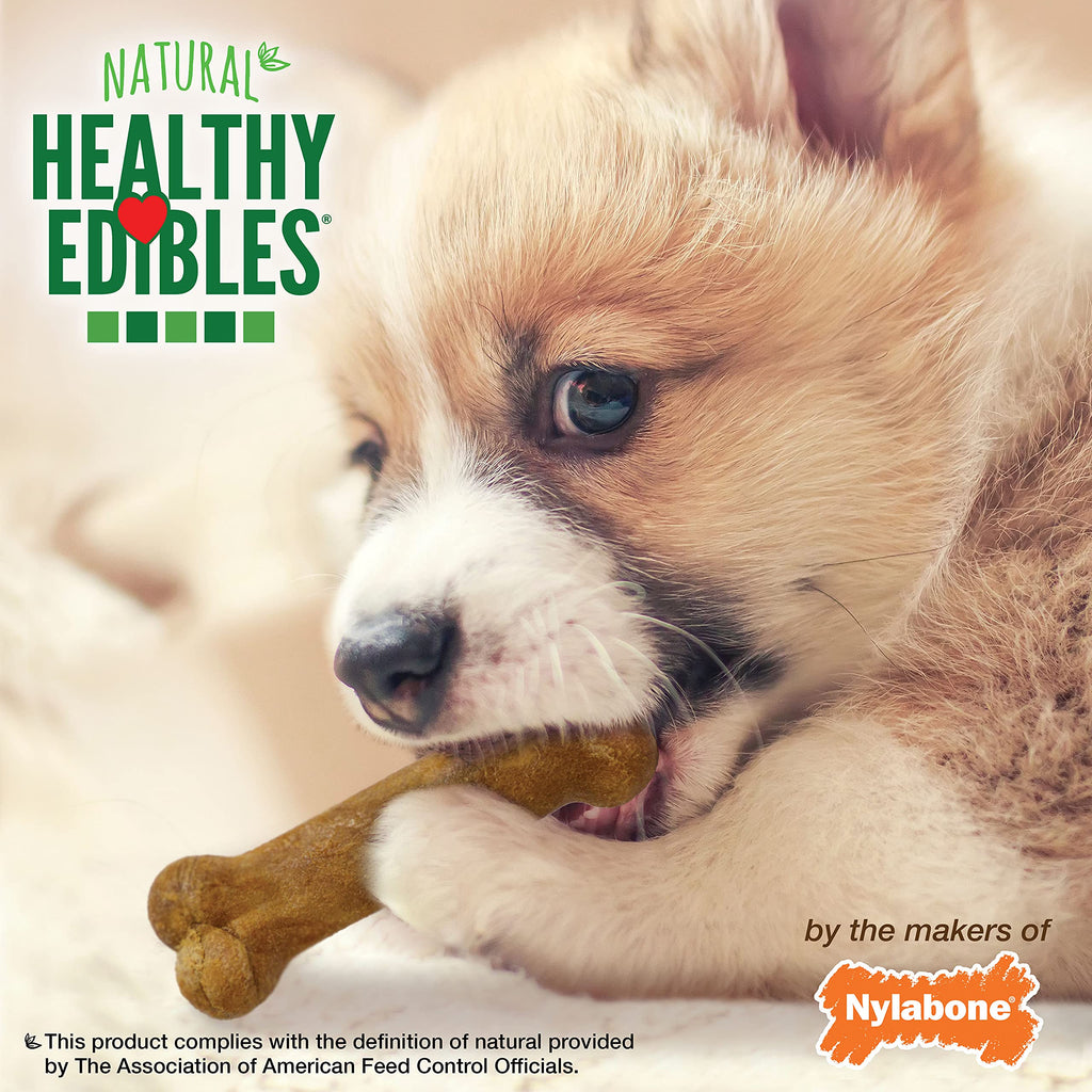 Nylabone Healthy Edibles Natural Puppy Chews Long Lasting Treats for Puppies, Roast Beef/Apple/Bacon Dog Treats, X-Small/Petite (3 Count)