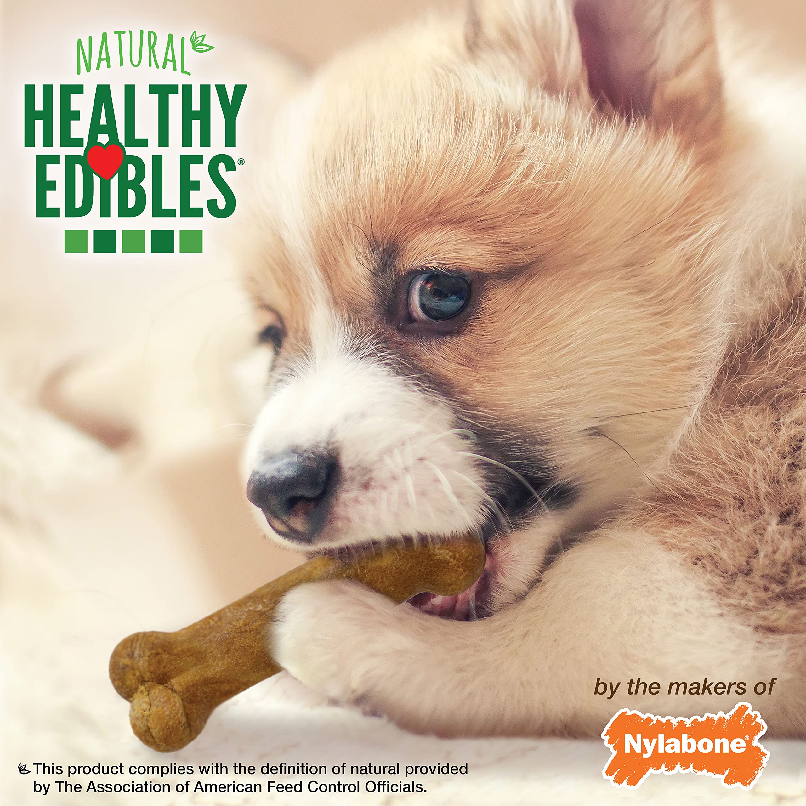 Nylabone Healthy Edibles Natural Puppy Chews Long Lasting Treats for Puppies, Roast Beef/Apple/Bacon Dog Treats, X-Small/Petite (3 Count)