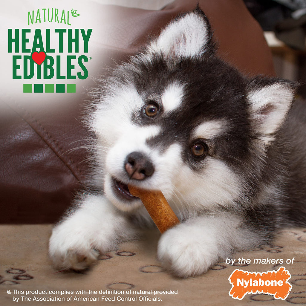 Nylabone Healthy Edibles Natural Puppy Chews Long Lasting Treats for Puppies, Roast Beef/Apple/Bacon Dog Treats, X-Small/Petite (3 Count)