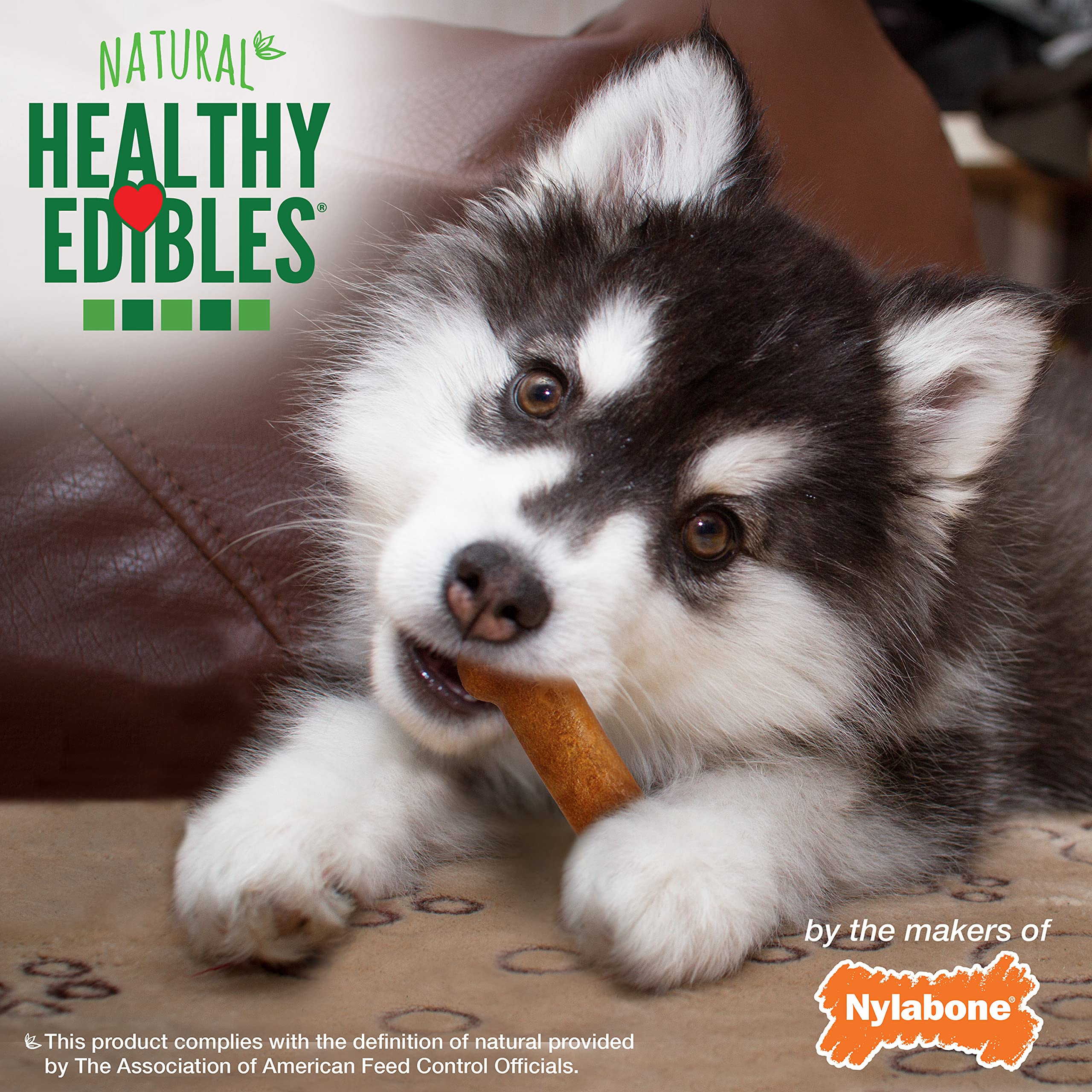 Nylabone Healthy Edibles Natural Puppy Chews Long Lasting Treats for Puppies, Roast Beef/Apple/Bacon Dog Treats, X-Small/Petite (3 Count)
