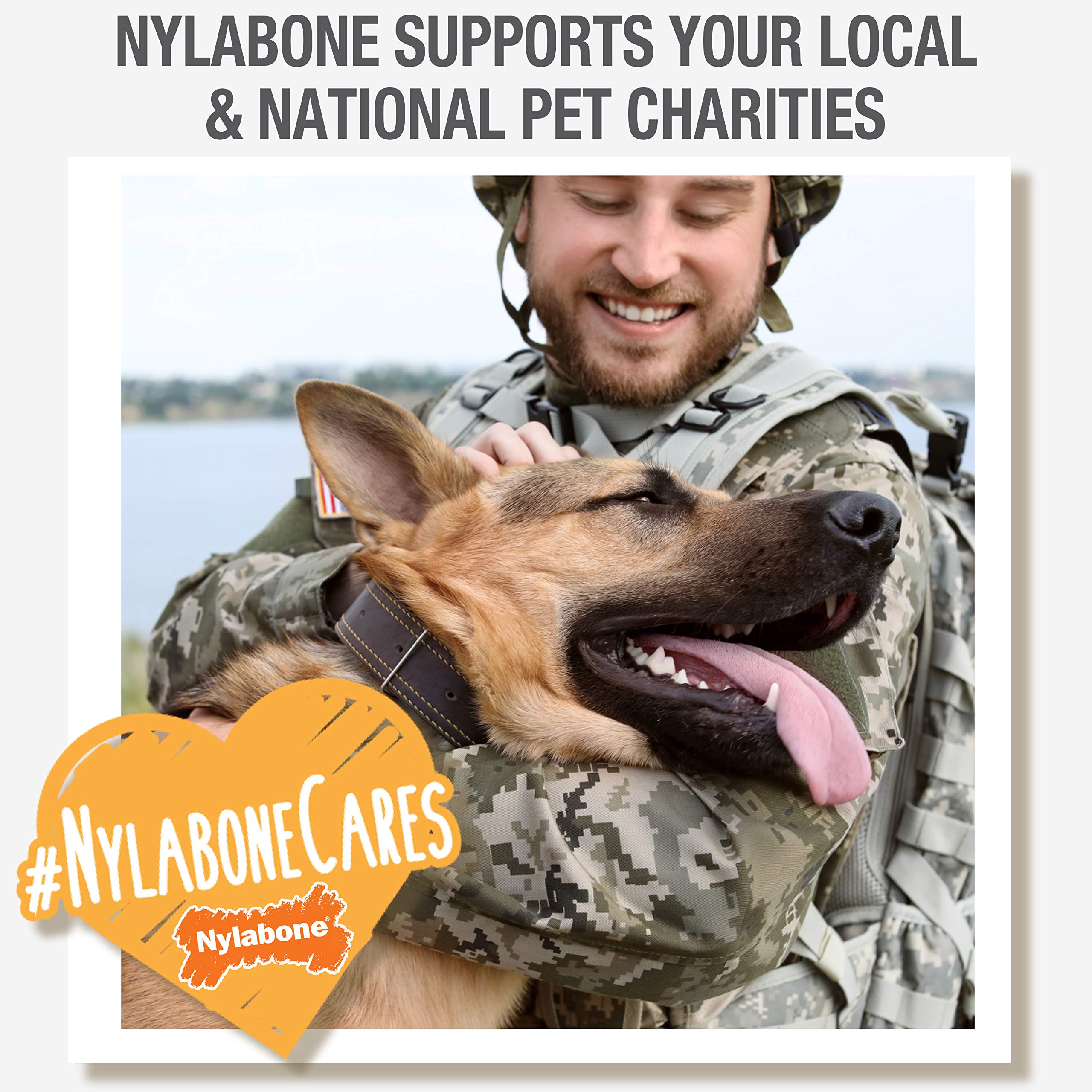 Nylabone Healthy Edibles Natural Puppy Chews Long Lasting Treats for Puppies, Roast Beef/Apple/Bacon Dog Treats, X-Small/Petite (3 Count)