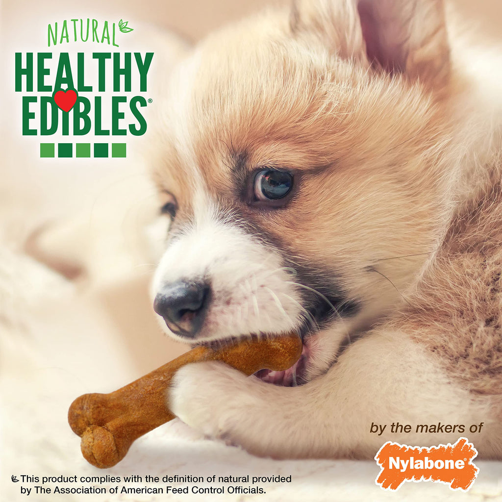 Nylabone Healthy Edibles Natural Puppy Chews Long Lasting Treats for Puppies, Roast Beef/Apple/Bacon Dog Treats, X-Small/Petite (3 Count)