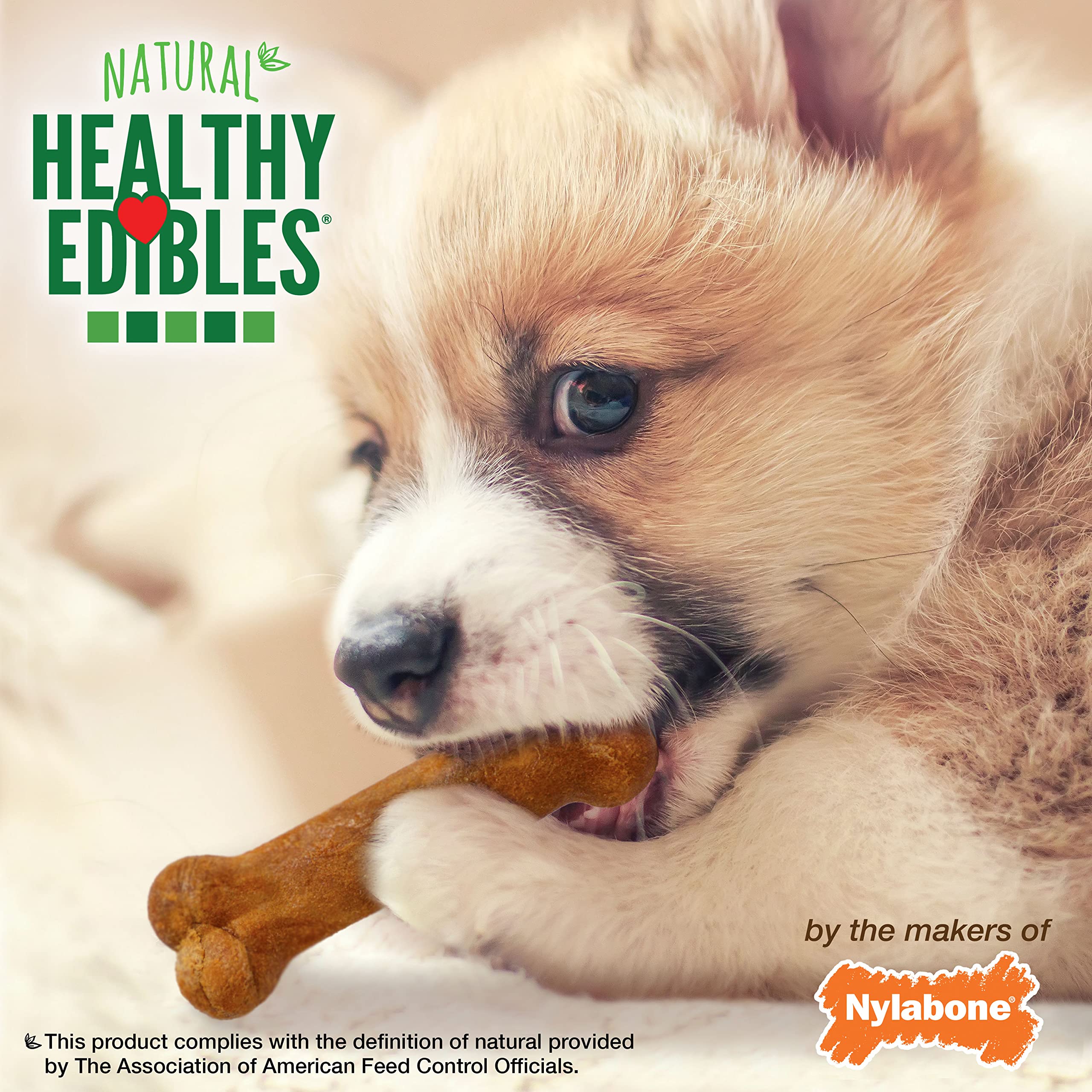 Nylabone Healthy Edibles Natural Puppy Chews Long Lasting Treats for Puppies, Roast Beef/Apple/Bacon Dog Treats, X-Small/Petite (3 Count)