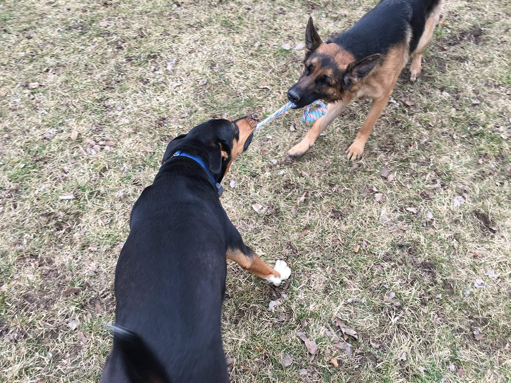 Jalousie Chew Toy Natural Rubber chew Toy for Interactive Play Toy Ball Rope Rubber Value Set for Small to Medium Breed Dog mutt Puppy